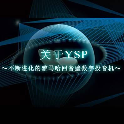 不断进化的777盛世国际回音壁数字投音机